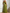 Chiffon Tulle Spaghetti Strap Off Shoulder A-Line Maxi Dress