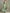 Halter Floral Print Chiffon A-Line Floor Length Maxi Dress