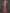Crisscross Halter Floral Embroidered Tulle Mermaid Maxi Dress