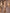 Robe longue couleur champagne en satin avec fente haute