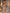 Robe longue couleur champagne en satin avec fente haute