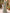 Μάξι φόρεμα από τούλι σε φιστικί πράσινο με στρογγυλή λαιμόκοψη, φλοράλ κέντημα και μανίκια φλάτερ