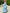 Halter 3D Floral Layered Ruffle Chiffon Maxi Dress