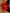 3D-blommor örhängen