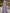 Robe longue violette en satin à une épaule avec plis et nœud