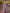 Lavendelfarbenes V-Ausschnitt Chiffon Maxikleid mit kurzen Ärmeln