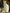 Square Neck Ruched Tulle Mermaid Maxi Dress