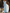 Square Neck Ruched Tulle Mermaid Maxi Dress