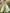 Cap Sleeve V-Neck Boned Corset Tulle Slit A-Line Maxi Dress