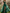 Cap Sleeve V-Neck Boned Corset Tulle Slit A-Line Maxi Dress