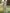 Round Neck 3D Floral Four-Way Stretch Maxi Dress