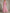 Abito lungo in chiffon rosa con scollo a V profondo e scialle plissettato  