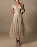 Champagne Colored Tulle Off Shoulder Pleats Maxi Dress