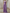 Halter V Neck Back Bow Ruched Pleated Chiffon Maxi Dress