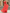 Twist V Neck Cap Sleeve All Over Pleated Chiffon A-Line Maxi Formal Dress