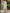 Cape Sleeve Round Neck Asymmetrical High-Low Chiffon Maxi Formal Dress