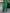 Cape Sleeve Round Neck Asymmetrical High-Low Chiffon Maxi Formal Dress