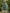 Sage Green Round Neck Beaded Leaf Tulle Midi Dress