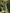 Sage Green Round Neck Beaded Leaf Tulle Midi Dress