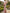 Pink Square Neck Floral Print Cross Ruched Satin Maxi Dress
