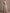 Asymmetrical Off Shoulder Ruffle A-Line Maxi Dress