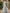 Blue V Flutter Sleeve Waist Twist Knot A-Line Maxi Dress