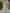 Blue V Flutter Sleeve Waist Twist Knot A-Line Maxi Dress