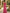 Off Shoulder Bow Waist 3D Floral Mermaid Maxi Dress
