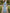 Himmelblaues Chiffon-Maxikleid mit Aquarell-Rosenblumenmuster
