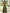Olive Green Floral Print Satin V-Neck Maxi Dress