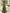 Olive Green Floral Print Satin V-Neck Maxi Dress