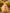 Champagne Colored Chiffon Deep V Maxi Dress