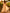 Champagne Colored Chiffon Deep V Maxi Dress