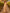 Champagne Colored Chiffon Deep V Maxi Dress