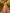Champagne Colored Chiffon Deep V Maxi Dress
