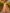 Champagne Colored Chiffon Deep V Maxi Dress
