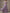 Light Purple Chiffon Off Shoulder Ruffle Sleeves Maxi Dress