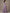 Light Purple Chiffon Off Shoulder Ruffle Sleeves Maxi Dress