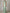 Sage Green Round Neck Satin Maxi Dress
