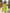 Yellow Green Strapless Bow Tulle Mini Dress