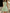Elegancka mini sukienka bez rękawów o kroju litery A, z okrągłym dekoltem, wycięciem i kokardą