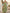 Strapless Tiered Ruffle Chiffon Asymmetrical Hem Maxi Dress