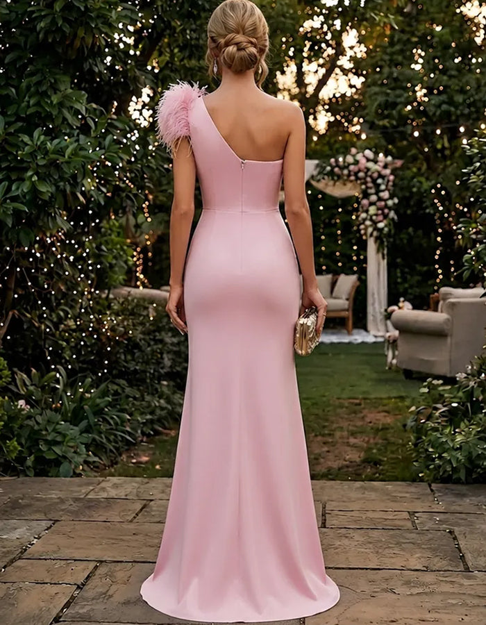 Robe longue rose asymétrique à volants en plumes