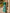 Green V-neck Chiffon Print Maxi Dress