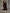 Abito midi in velluto bordeaux con pizzo