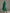 Grünes Samt-Maxikleid mit V-Ausschnitt und langen Ärmeln