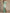 Robe de soirée élégante vert eucalyptus à manches cape avec détails en dentelle