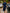 Vestido Midi de Cetim de Cor Sólida com Mangas Curtas