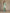 Robe de soirée élégante vert eucalyptus à manches cape avec détails en dentelle